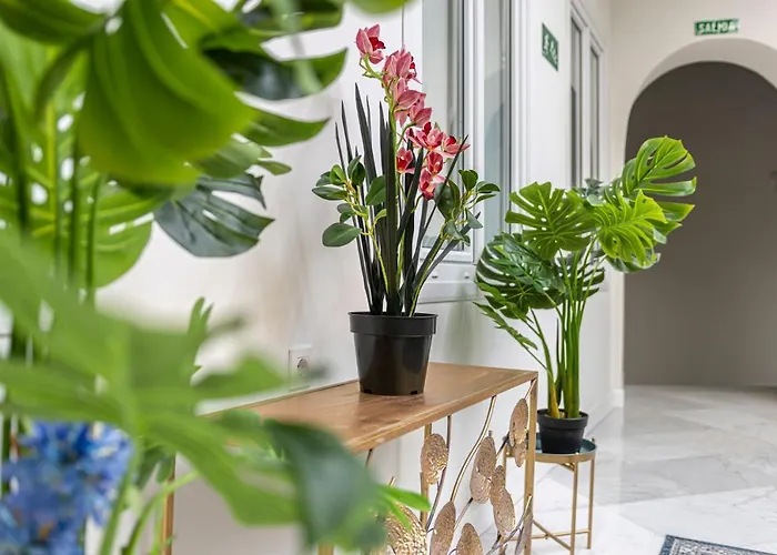 Casa Palacio Rufina & Jardines Appartamento *